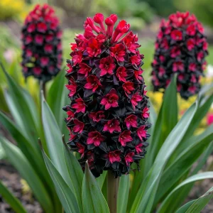 Гиацинт Джем Стоун купить по цене от 2099р. в интернет-магазине «Посадика» с доставкой почтой в в Приморско-Ахтарске и по всей России – [изображение №1].